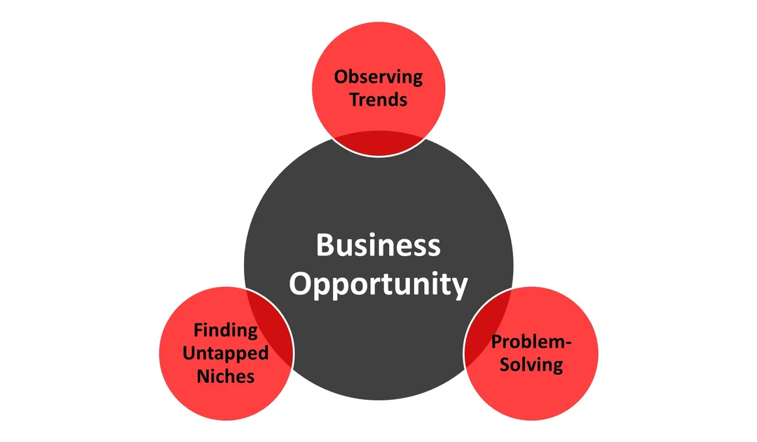 Discovering a business opportunity